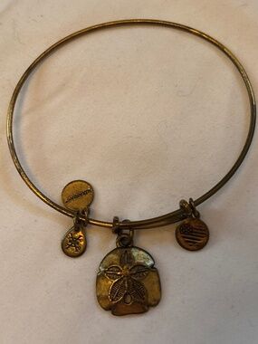 Alex and Ani sand dollar bangle bracelet